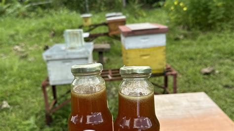 Beekeeping Series, Part 2: The Common Honey .